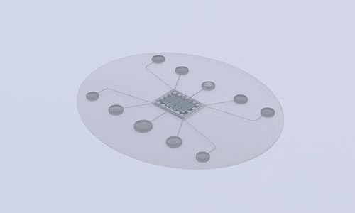 Microfluïdica-3D-Microstructuur_breed