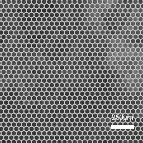 MABRI.VISION Microstructures